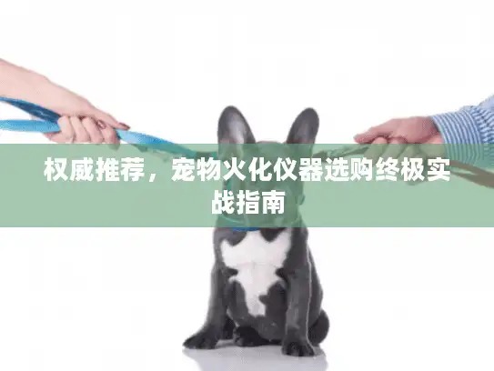 权威推荐，宠物火化仪器选购终极实战指南