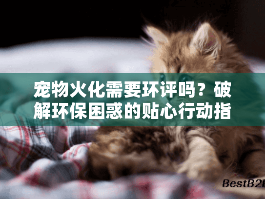 宠物火化需要环评吗？破解环保困惑的贴心行动指南