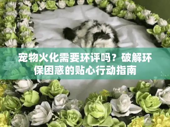 宠物火化需要环评吗？破解环保困惑的贴心行动指南