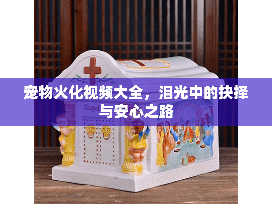 宠物火化视频大全，泪光中的抉择与安心之路