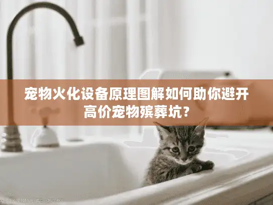 宠物火化设备原理图解如何助你避开高价宠物殡葬坑？