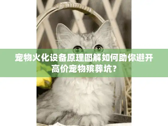 宠物火化设备原理图解如何助你避开高价宠物殡葬坑？