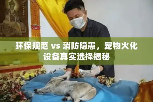 环保规范 vs 消防隐患，宠物火化设备真实选择揭秘