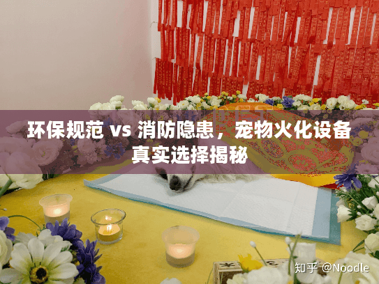 环保规范 vs 消防隐患，宠物火化设备真实选择揭秘