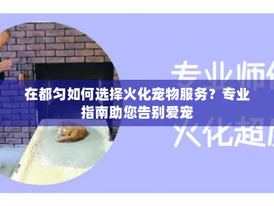 在都匀如何选择火化宠物服务？专业指南助您告别爱宠