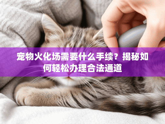 宠物火化场需要什么手续？揭秘如何轻松办理合法通道