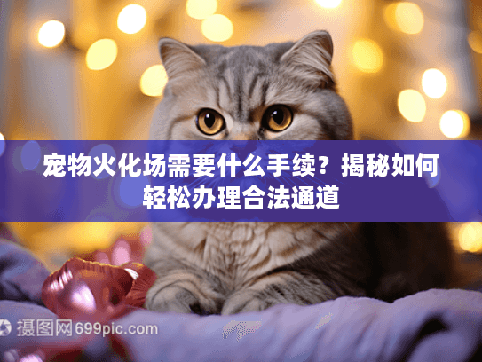 宠物火化场需要什么手续？揭秘如何轻松办理合法通道