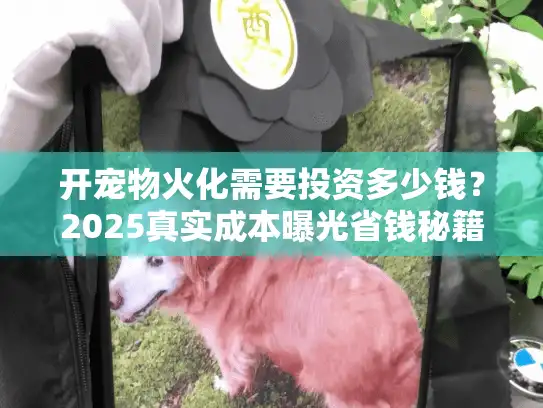 开宠物火化需要投资多少钱?2025真实成本曝光省钱秘籍 开宠物火化需要投资多少钱?2025真实成本曝光省钱秘籍