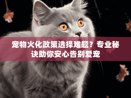宠物火化政策选择难题？专业秘诀助你安心告别爱宠