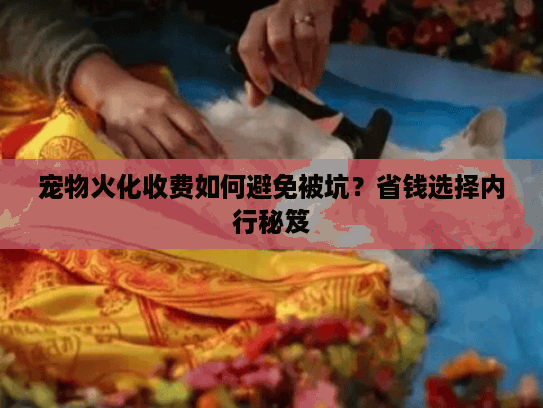 宠物火化收费如何避免被坑？省钱选择内行秘笈