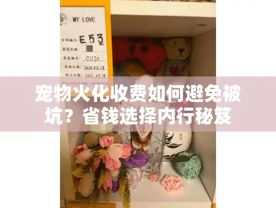 宠物火化收费如何避免被坑？省钱选择内行秘笈