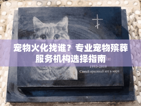 宠物火化找谁？专业宠物殡葬服务机构选择指南