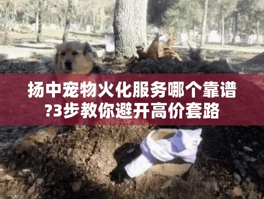 扬中宠物火化服务哪个靠谱?3步教你避开高价套路 扬中宠物火化服务哪个靠谱?3步教你避开高价套路
