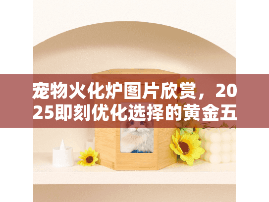 宠物火化炉图片欣赏,2025即刻优化选择的黄金五步 宠物火化炉图片欣赏,2025即刻优化选择的黄金五步