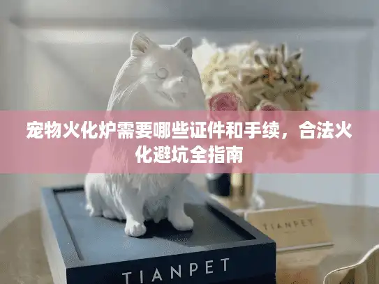 宠物火化炉需要哪些证件和手续,合法火化避坑全指南 宠物火化炉需要哪些证件和手续,合法火化避坑全指南