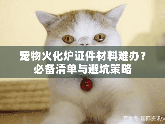 宠物火化炉证件材料难办？必备清单与避坑策略