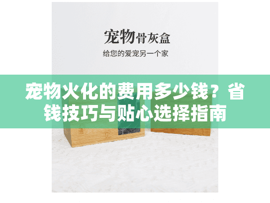 宠物火化的费用多少钱?省钱技巧与贴心选择指南 宠物火化的费用多少钱?省钱技巧与贴心选择指南