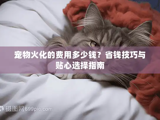 宠物火化的费用多少钱?省钱技巧与贴心选择指南 宠物火化的费用多少钱?省钱技巧与贴心选择指南
