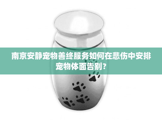 南京安静宠物善终服务如何在悲伤中安排宠物体面告别? 南京安静宠物善终服务如何在悲伤中安排宠物体面告别?