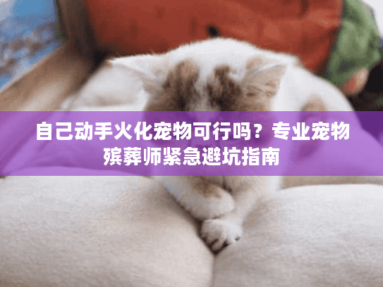 自己动手火化宠物可行吗？专业宠物殡葬师紧急避坑指南