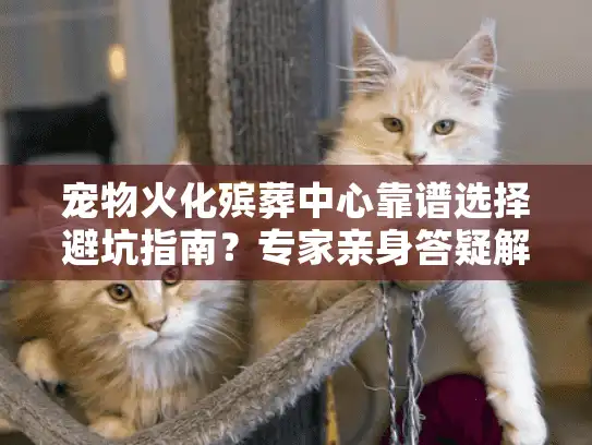 宠物火化殡葬中心靠谱选择避坑指南？专家亲身答疑解惑