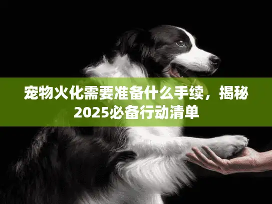 宠物火化需要准备什么手续,揭秘2025必备行动清单 宠物火化需要准备什么手续,揭秘2025必备行动清单