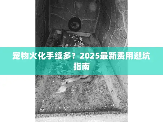 宠物火化手续多？2025最新费用避坑指南