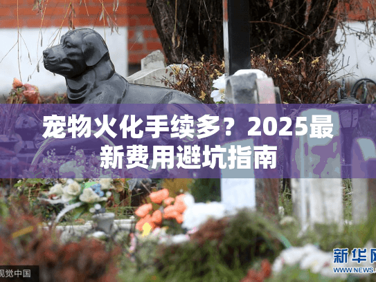 宠物火化手续多？2025最新费用避坑指南