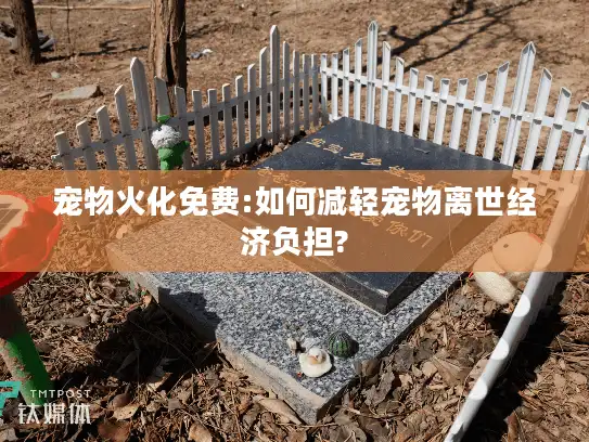宠物火化免费:如何减轻宠物离世经济负担?