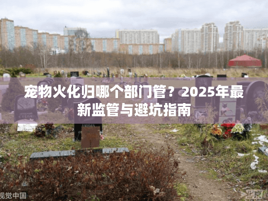 宠物火化归哪个部门管？2025年最新监管与避坑指南
