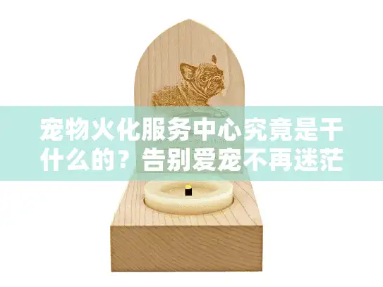 宠物火化服务中心究竟是干什么的？告别爱宠不再迷茫