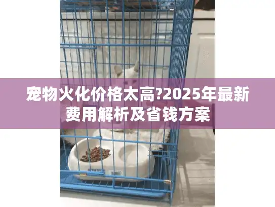 宠物火化价格太高?2025年最新费用解析及省钱方案