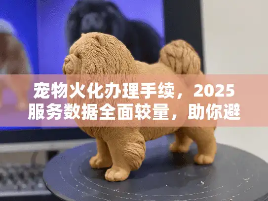 宠物火化办理手续，2025服务数据全面较量，助你避坑省钱