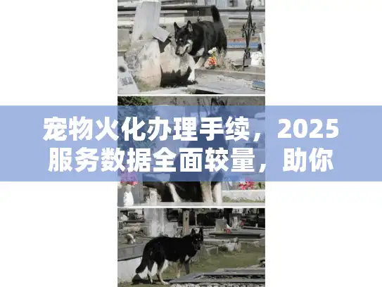 宠物火化办理手续，2025服务数据全面较量，助你避坑省钱