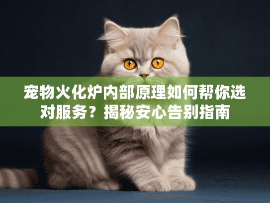 宠物火化炉内部原理如何帮你选对服务?揭秘安心告别指南 宠物火化炉内部原理如何帮你选对服务?揭秘安心告别指南