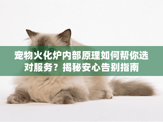 宠物火化炉内部原理如何帮你选对服务?揭秘安心告别指南 宠物火化炉内部原理如何帮你选对服务?揭秘安心告别指南