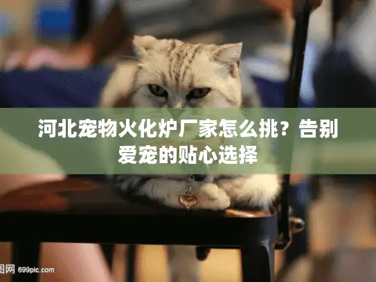 河北宠物火化炉厂家怎么挑?告别爱宠的贴心选择 河北宠物火化炉厂家怎么挑?告别爱宠的贴心选择