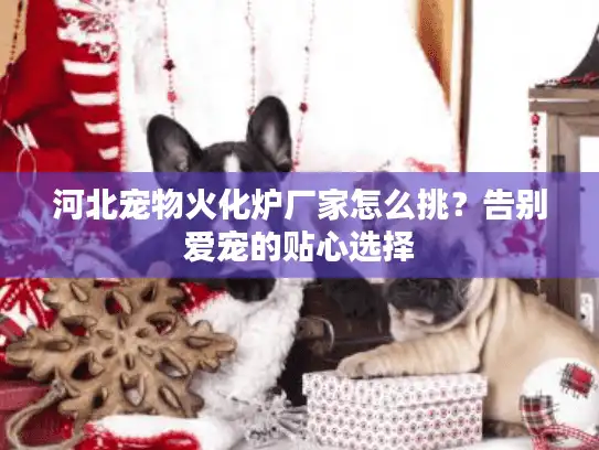 河北宠物火化炉厂家怎么挑?告别爱宠的贴心选择 河北宠物火化炉厂家怎么挑?告别爱宠的贴心选择