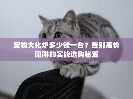 宠物火化炉多少钱一台?告别高价陷阱的实战选购秘笈 宠物火化炉多少钱一台?告别高价陷阱的实战选购秘笈