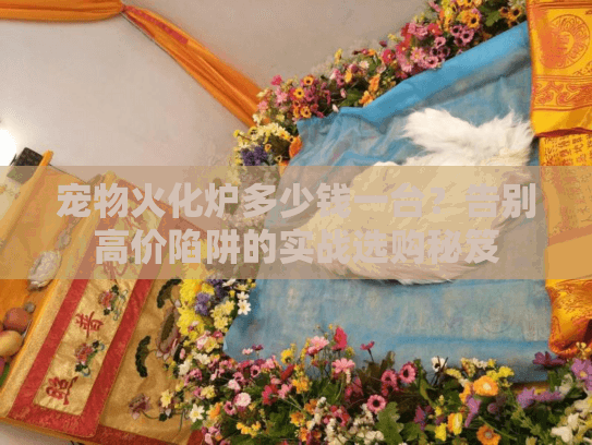 宠物火化炉多少钱一台?告别高价陷阱的实战选购秘笈 宠物火化炉多少钱一台?告别高价陷阱的实战选购秘笈