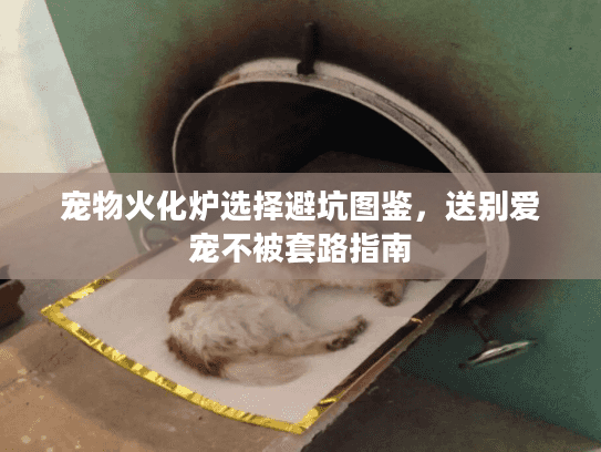 宠物火化炉选择避坑图鉴，送别爱宠不被套路指南