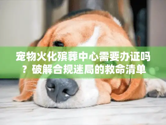 宠物火化殡葬中心需要办证吗？破解合规迷局的救命清单