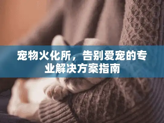 宠物火化所,告别爱宠的专业解决方案指南 宠物火化所,告别爱宠的专业解决方案指南