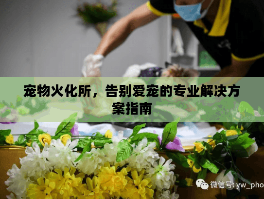 宠物火化所,告别爱宠的专业解决方案指南 宠物火化所,告别爱宠的专业解决方案指南