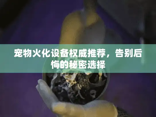 宠物火化设备权威推荐，告别后悔的秘密选择