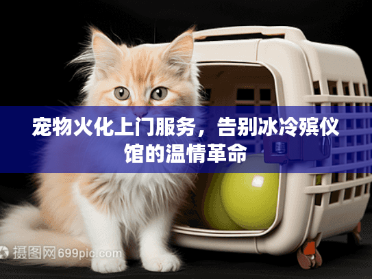 宠物火化上门服务，告别冰冷殡仪馆的温情革命
