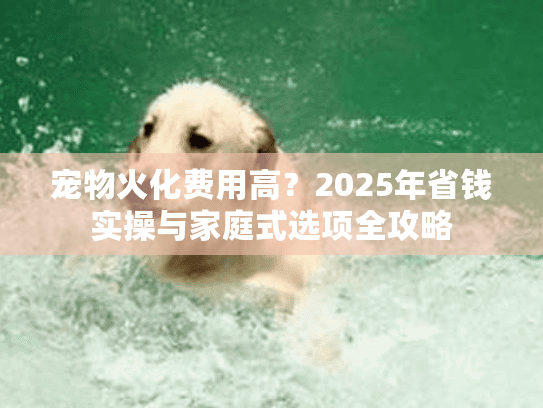 宠物火化费用高?2025年省钱实操与家庭式选项全攻略 宠物火化费用高?2025年省钱实操与家庭式选项全攻略