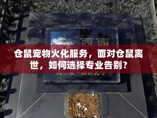 仓鼠宠物火化服务,面对仓鼠离世,如何选择专业告别? 仓鼠宠物火化服务,面对仓鼠离世,如何选择专业告别?