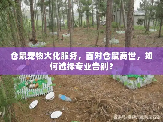 仓鼠宠物火化服务,面对仓鼠离世,如何选择专业告别? 仓鼠宠物火化服务,面对仓鼠离世,如何选择专业告别?