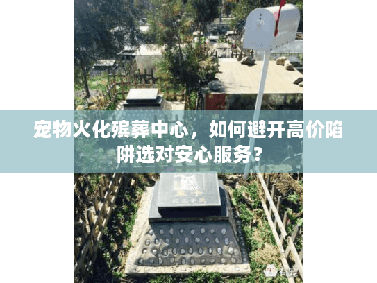 宠物火化殡葬中心，如何避开高价陷阱选对安心服务？